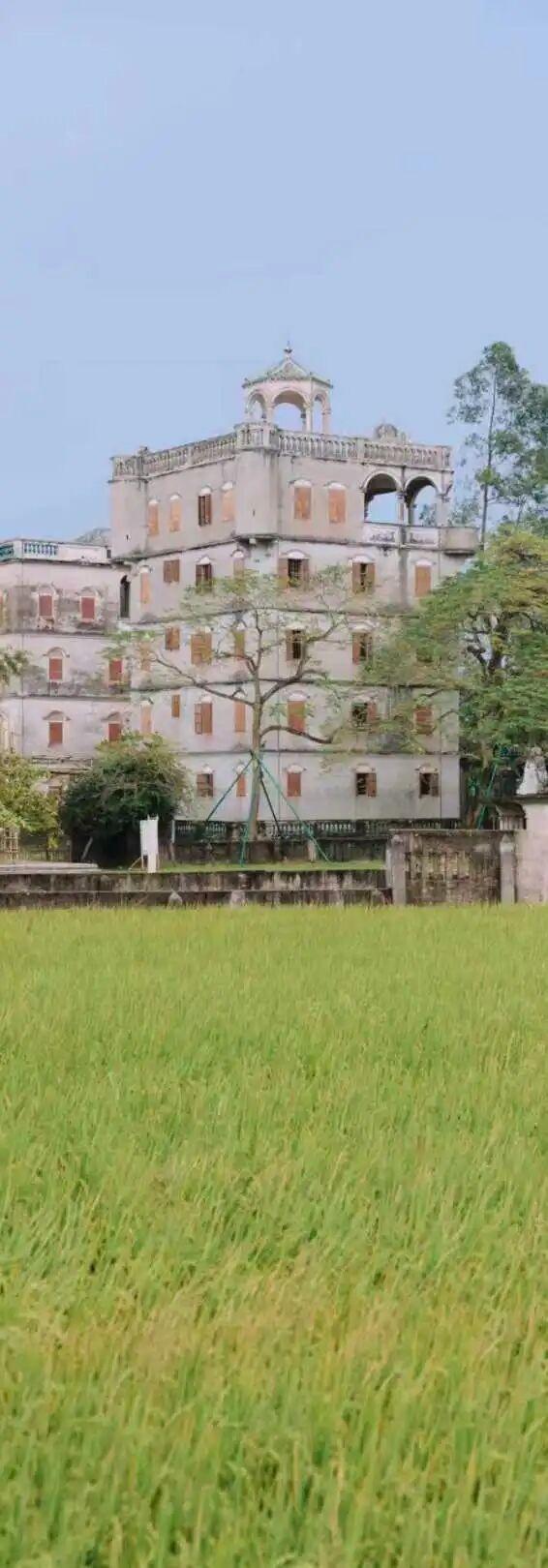 碉楼秋韵，揽胜塘口！快来开平这里把整个秋天“揽"入怀中