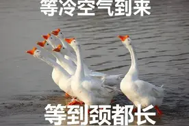 冷空气真的来了！广西局地降温将超10℃！还有大风、降雨……图片