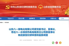 山东八一煤电化有限公司原党委书记、董事长杨震被查图片