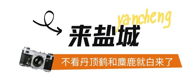 不愧是「东方肯尼亚」
