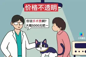 动不动就几千上万元！宠物看病比人还贵，宠物医院却喊亏图片