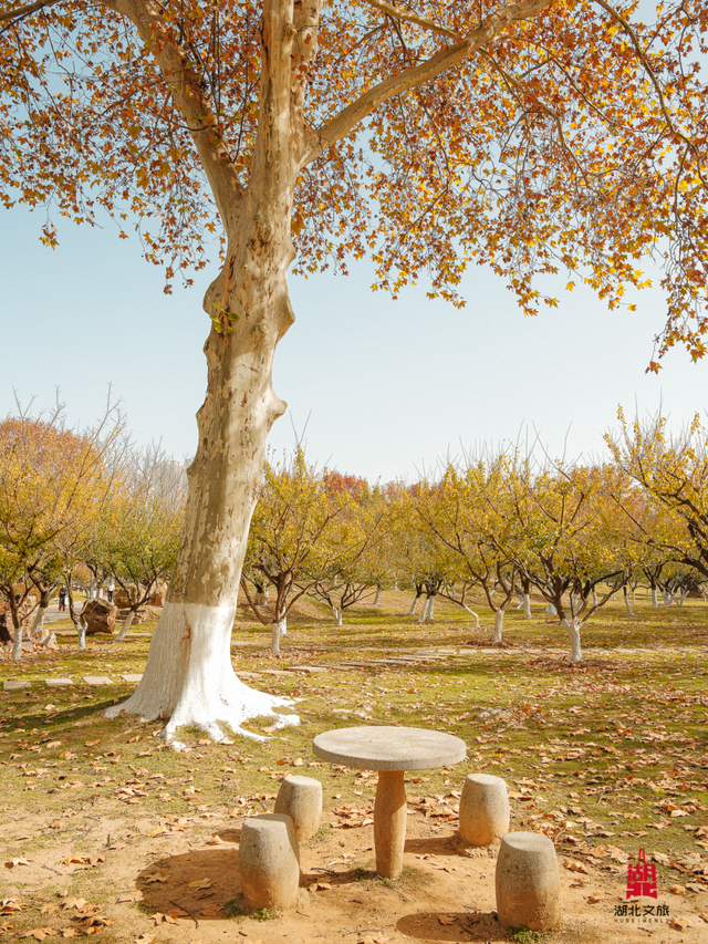 寒潮倒计时！再不来就迟了