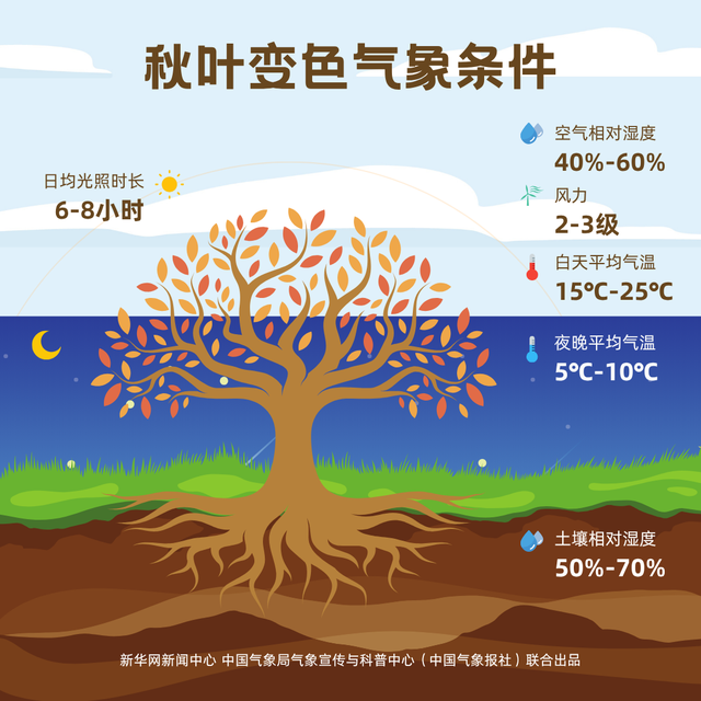 这些地方的红叶，为什么还不红？