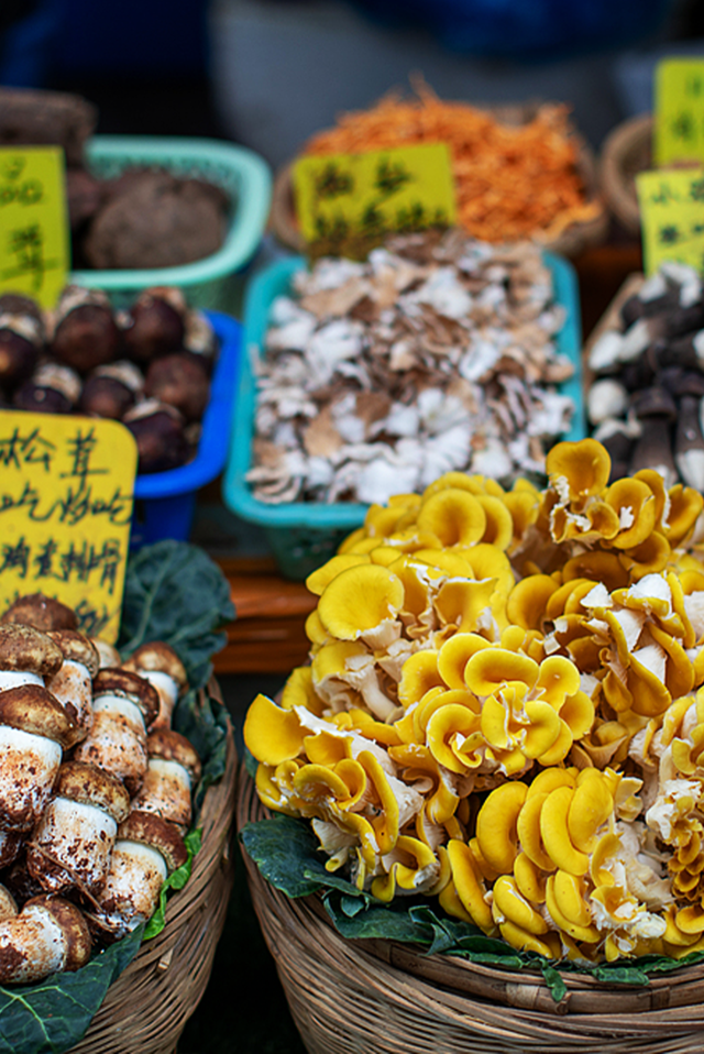 中国“旅居”天花板，为什么还得是云南？