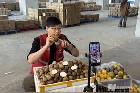 深度调研｜5年杀出血路，极兔中国“活下来”：难以复制的总部放权与“江湖式信任”图片