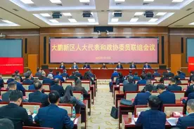 9个方面、10件实事！大鹏新区召开代表委员联组会议图片