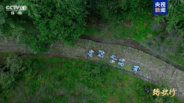 走进《踏歌行》打卡苏轼眼中的“神仙宅”！
