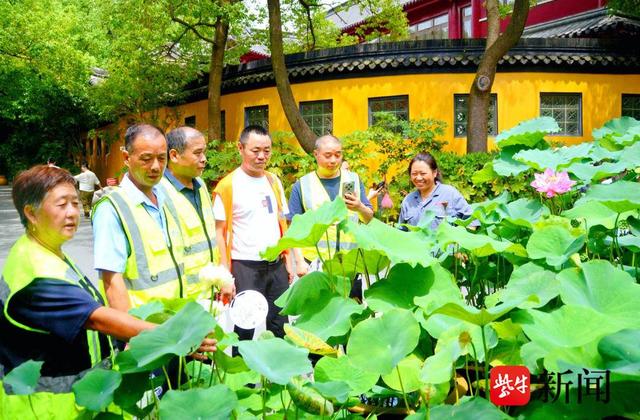 赏花活动已进行三年，镇江忘不了一线环卫人员