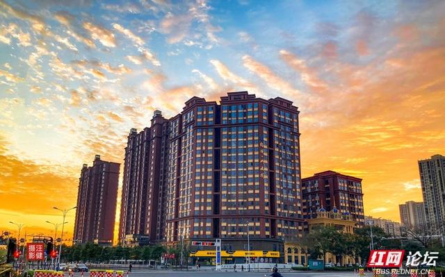 安乡深柳晨行记：踏在颜料上的初冬