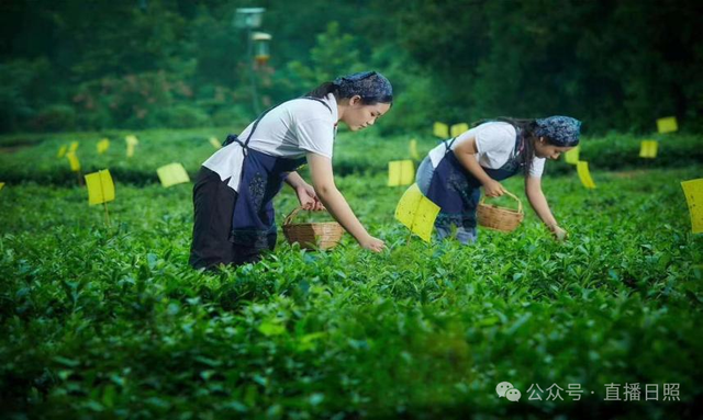 低调了千年！是时候重新认识一下莒县了！