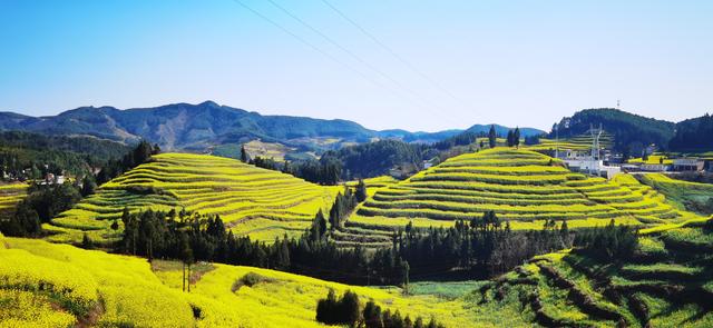 罗平马街：云上花梯铺锦绣 风景独好引客来