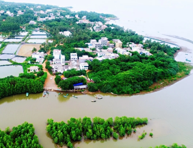 探寻革命足迹 追忆峥嵘岁月！来美兰奔赴一场红色之旅→