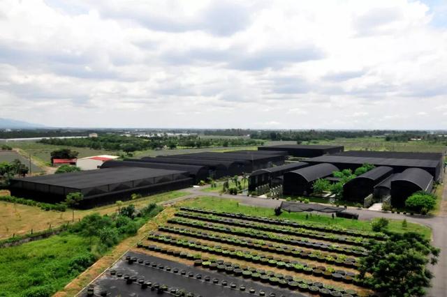 他初中毕业后终身不婚，荒野舍命工作20年，被一群博士封神