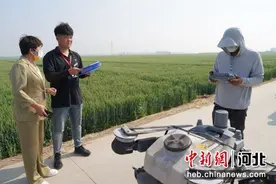 河北清苑举办职工无人机植保飞防职业技能大赛图片