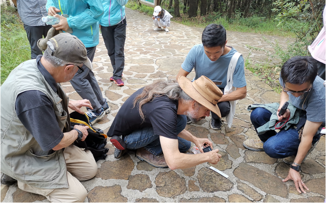 这个小盒子里的化石材料	，产生了非常多举世瞩目的成果，有十几篇顶刊文章｜卢静 一席少年第36位讲者