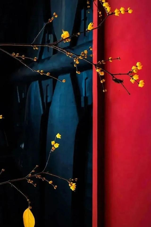 第一波开好了！来无锡邂逅冬日“梅”景