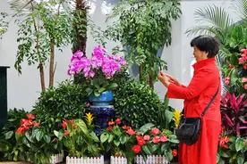 北京市属公园迎来客流高峰，这三家公园游客最多图片