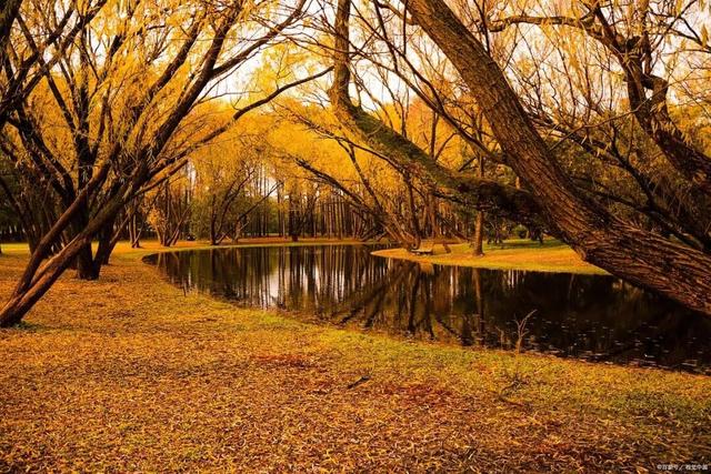 一份蟹肥满黄、银杏铺金的湖南秋冬出游清单