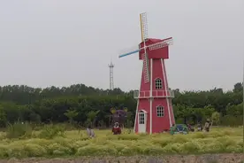 “寻美•聊城”网络主题宣传暨“寻美乡村振兴·E眼看东昌府”自媒体采风行活动举行图片