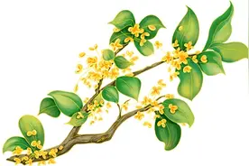 月满中秋，万事胜意图片