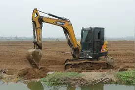 安乡：高标准农田焕新颜 助力春耕生产图片