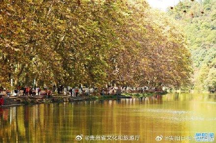 快看，贵阳黄金大道披金甲啦