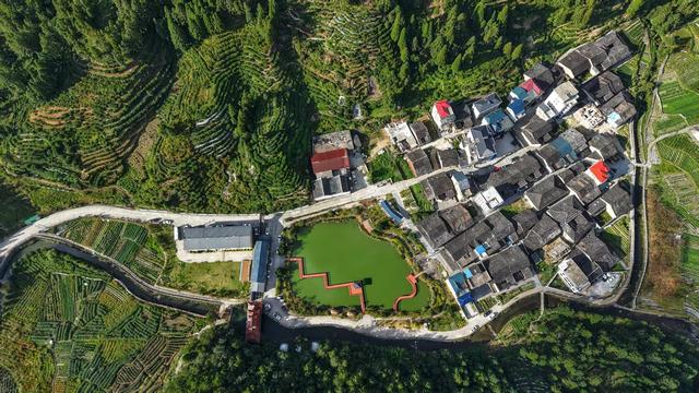 周宁浦源：在花鲤小镇感受“凉”城美景