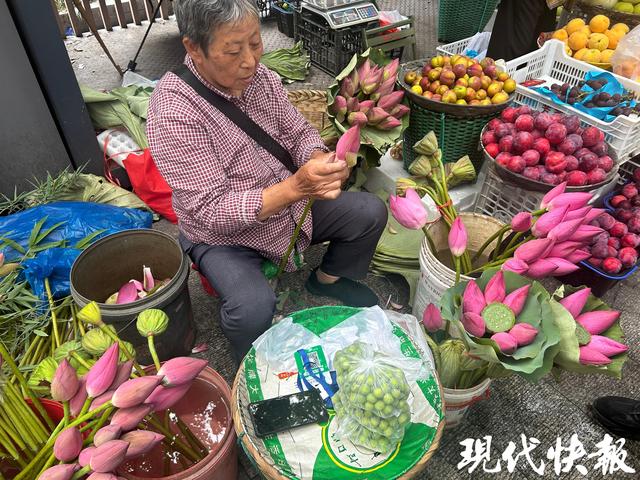 苏州荷花市集火出圈，背后有最动人的温情