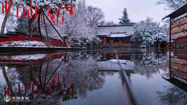 一城山海，一城泉韵！清照泉城邀青岛市民开启“泉式”度假新篇