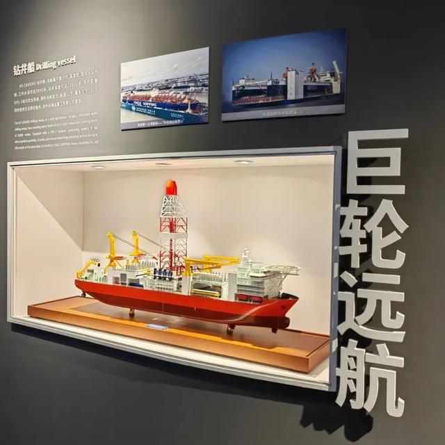 上海长兴岛郊野公园新春游园攻略来了~