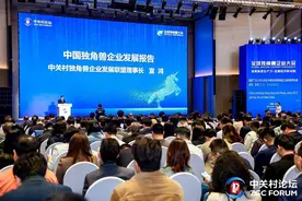 《中国独角兽企业发展报告（2024年）》发布 武汉7家，排名全国第八图片