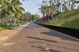 问政海南·追踪 | 开裂的海口金牛岭公园健身道改造好了！园林部门已整改落实图片