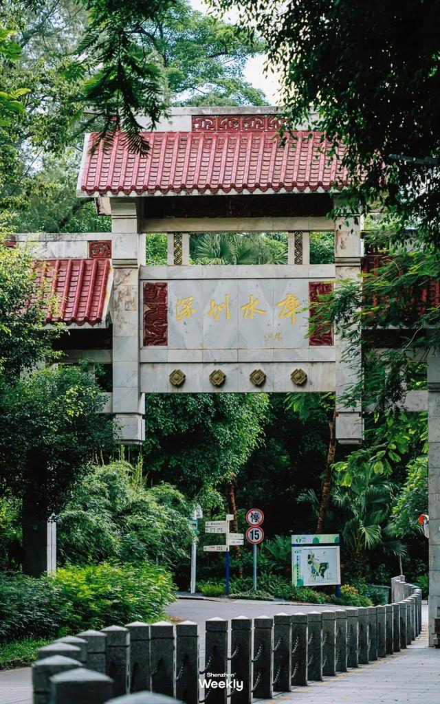 “这条路线，建议深圳人都去一遍”