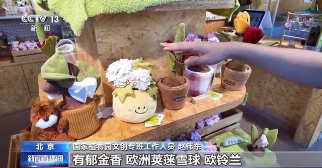 永不凋谢的花、被紫光灯“照活”的蝴蝶 博物馆文创“暗藏玄机”