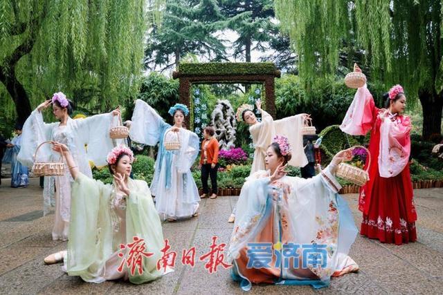 秋日胜景入画来！第46届趵突泉金秋菊展盛装启幕，泉城赏菊盛宴震撼登场