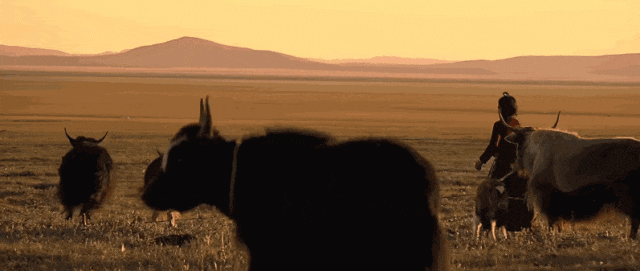 青城山｜与自然对话的日与夜。