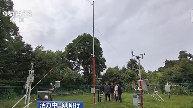 活力中国调研行丨遗产保护用上黑科技 在峨眉山解锁文旅新体验
