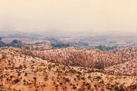 龙岩市委书记余红胜：牢记嘱托 25年久久为功拓展提升“长汀经验”图片