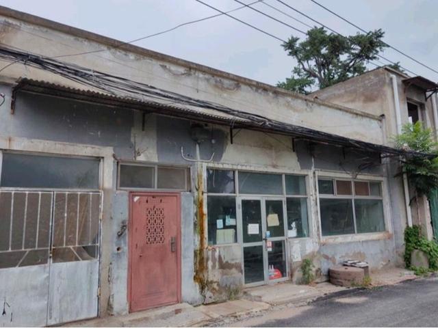 北京号最精彩｜必逛！京城暑期这些缤纷大展等您来