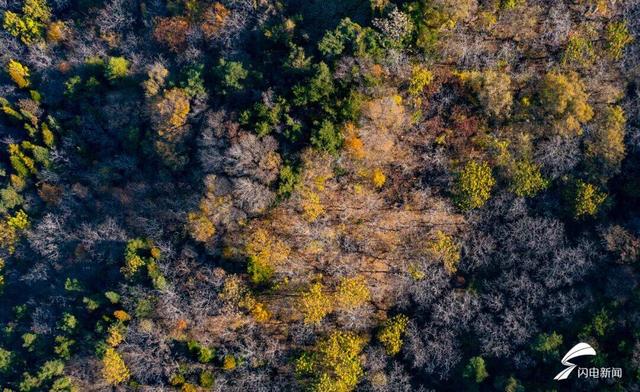 组图丨泰山彩石溪初冬 溪水与暖阳织就轻缓诗意