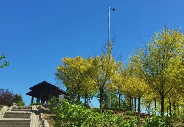 河畅、水清、岸绿、景美……宋庄蓄滞洪区二期开放！这里的“好”远超你想象！