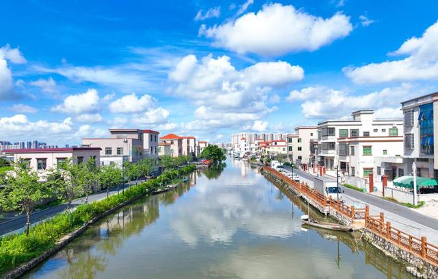 小斗湖鳘鱼胶效果 2026年斗湖鱼胶的功效与作用