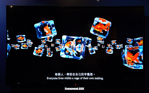 “接下来深圳这个地方，是粉色的”