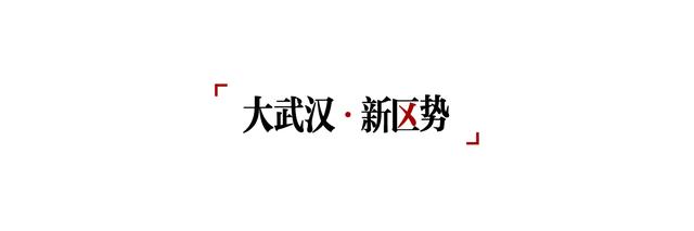 来新洲体验不一样的风景 一路向东，登高观鸟看江豚
