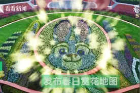 掉进“花花世界” 上海迪士尼新推春日赏花地图图片