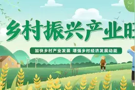 永宁县胜利乡：桃花盛开映红致富路图片