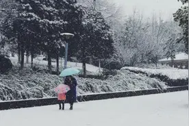 银川将下雪！气温下降10℃！图片