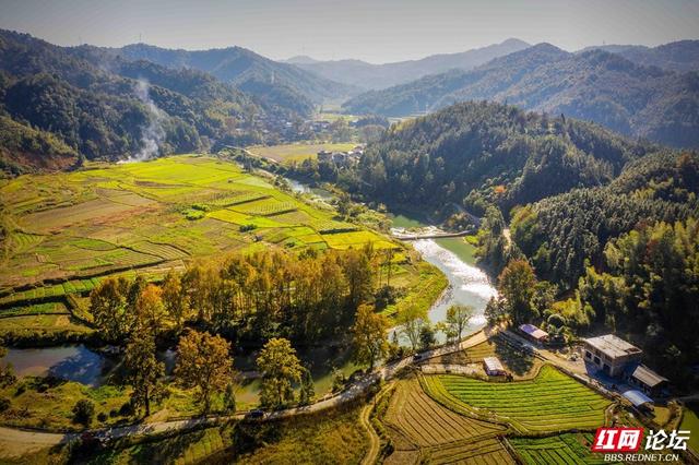 枫红时节，邂逅通道的诗意初冬