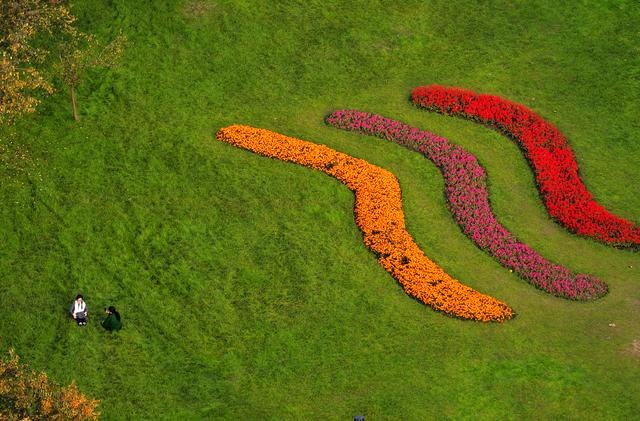 诗意中国｜碧涧流红叶 青林点白云