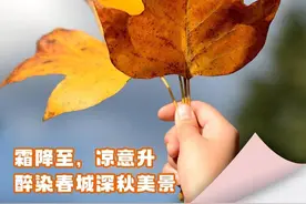 早安春城丨1万套！昆明计划建设6个保租房项目，位置在→图片